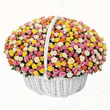 Премиум букет из: Розы в Приозерске