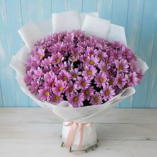 Букет цветов из:  Хризантемы #REPLACE_PRED# Приозерске