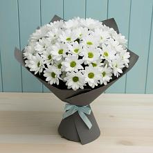 Букет цветов из:  Хризантемы #REPLACE_PRED# Приозерске