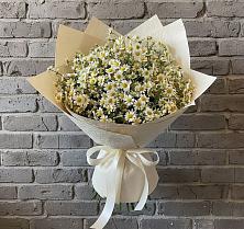Букет цветов из:  Ромашки в Приозерске