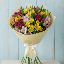Букет цветов из:  Альстромерии в Приозерске