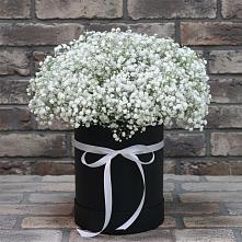 Цветочная композиция из Гипсофила в шляпной коробке #REPLACE_PRED# Приозерске