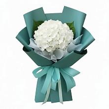 Букет цветов из:  Гортензия #REPLACE_PRED# Приозерске